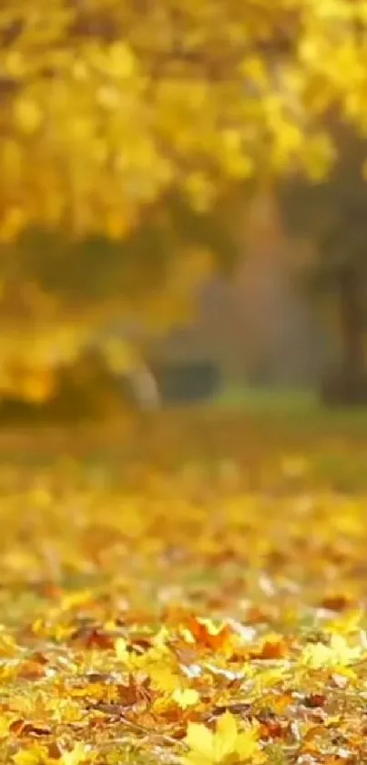 Golden autumn leaves carpet a serene forest path.