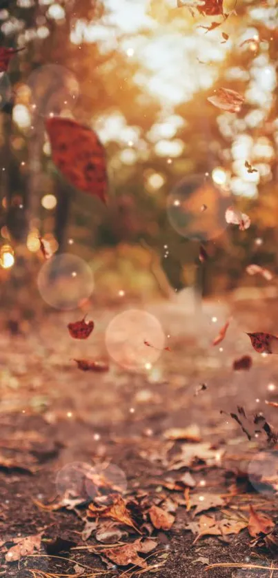 Enchanting autumn scene with falling leaves and bokeh lighting effects.