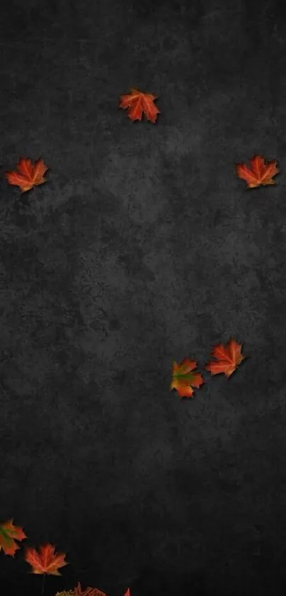 Autumn leaves on dark background with rustic bucket.