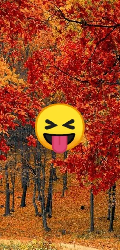 Autumn forest with emoji on display.