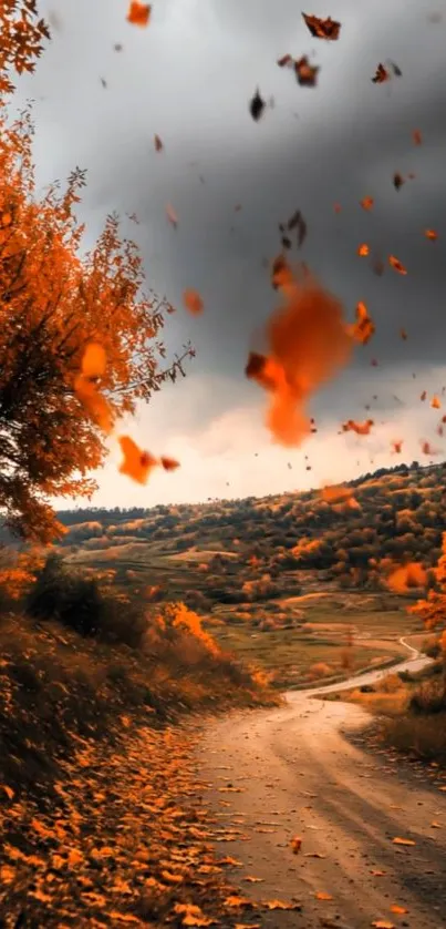 Autumn leaves falling along a winding path.