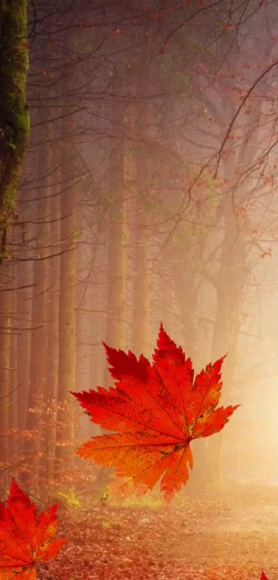 Vibrant red leaves in a misty forest setting.