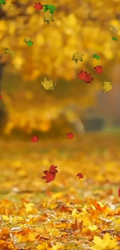 Vibrant autumn leaves falling in a forest, showcasing rich yellows and reds.