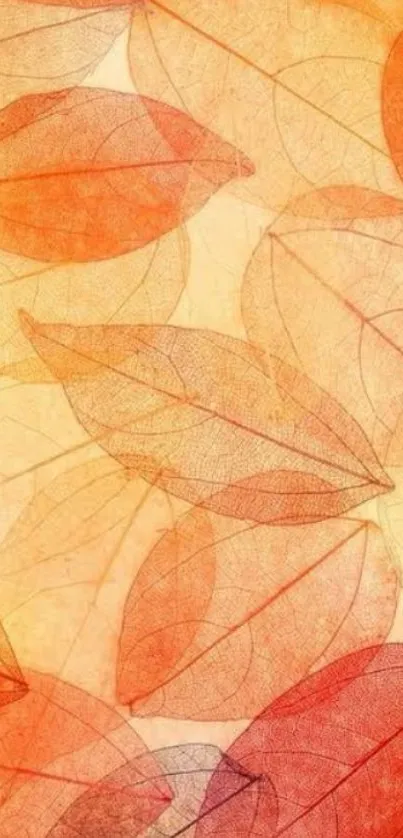 Elegant mobile wallpaper featuring translucent autumn leaves in warm hues.