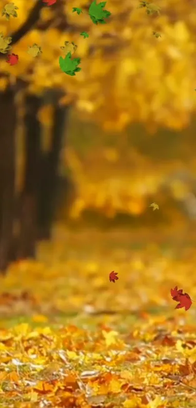 Vibrant autumn leaves falling over a tree-lined path.