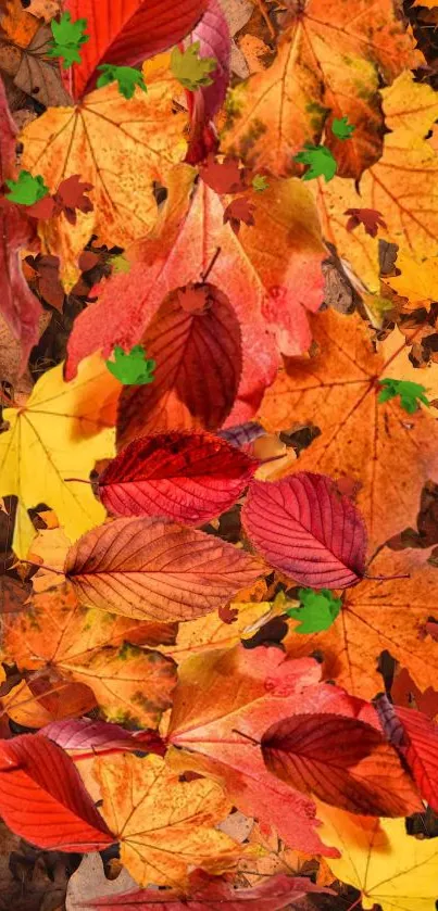 Autumn leaves wallpaper with orange hues.