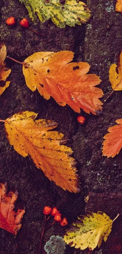 Vibrant autumn leaves on a textured background, perfect for fall wallpaper.