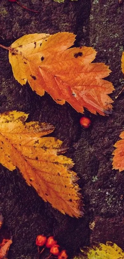 Autumn leaves with textured dark background on mobile wallpaper.