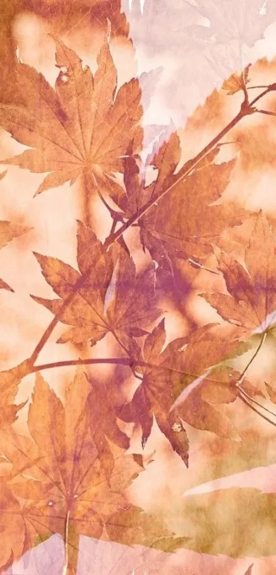 Orange autumn leaves mobile wallpaper with a warm, rustic touch.