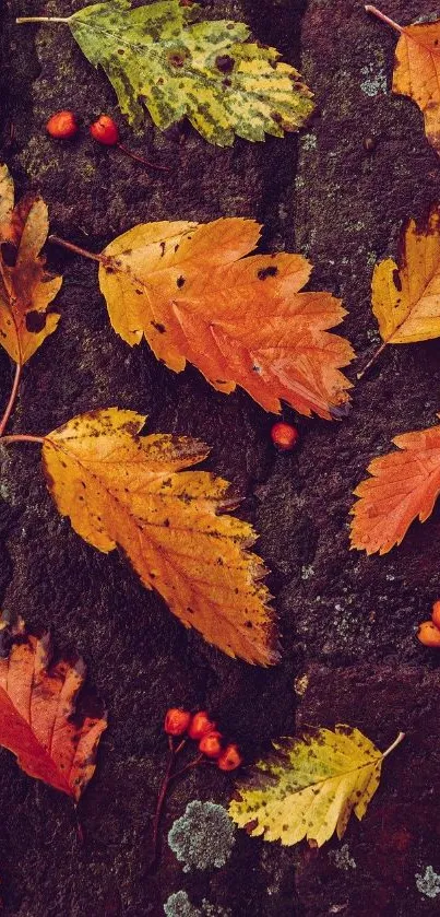 Colorful autumn leaves scattered on a rustic background.