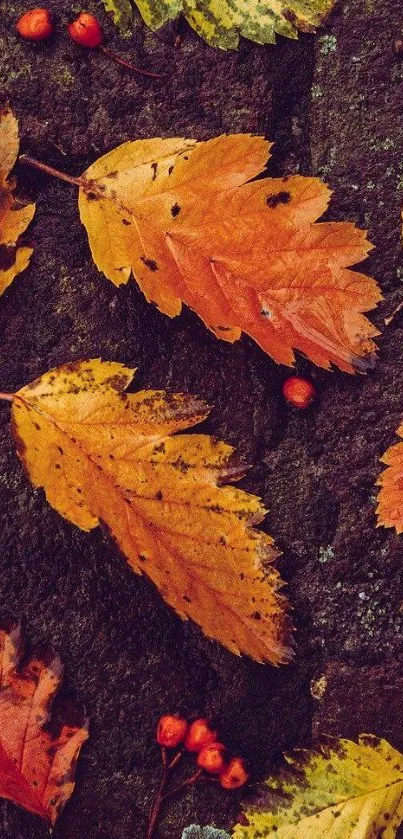 Vibrant autumn leaves on a dark textured background, perfect phone wallpaper.