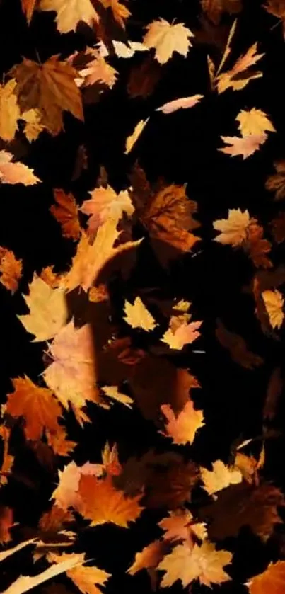 Mobile wallpaper of autumn leaves on dark background.