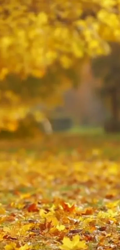 Golden autumn leaves capturing a serene, nature-inspired scene.