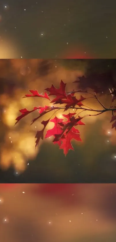 Vibrant autumn leaves with mystical backdrop and warm colors for mobile wallpaper.