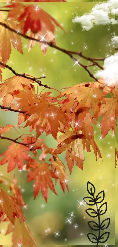 Vibrant orange autumn leaves on branches with a blurred natural background.