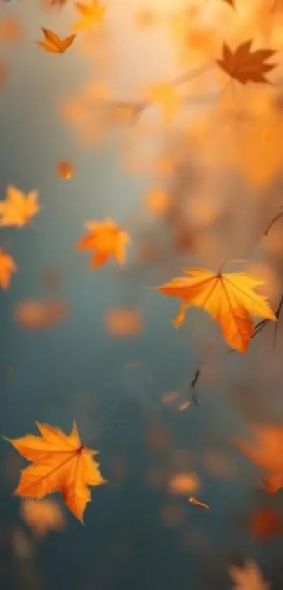 Autumn leaves falling on a soft blurred background.