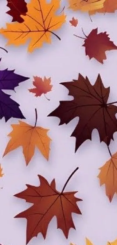 Colorful autumn leaves wallpaper for mobile.