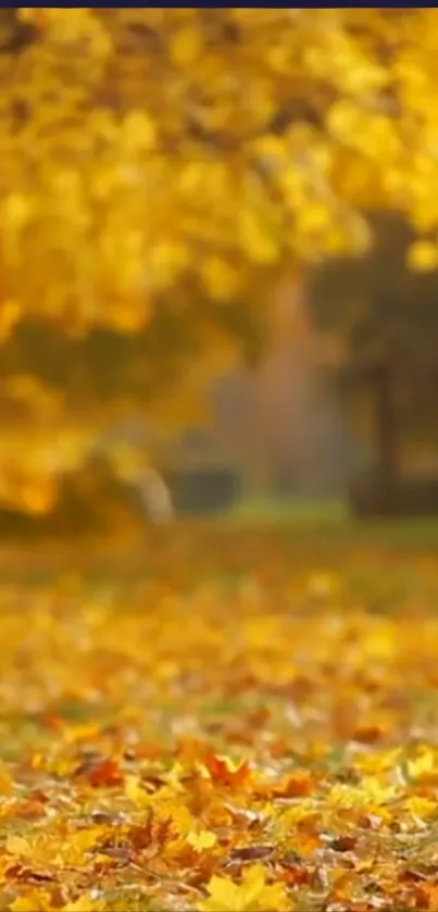 Golden autumn leaves carpet a serene landscape.