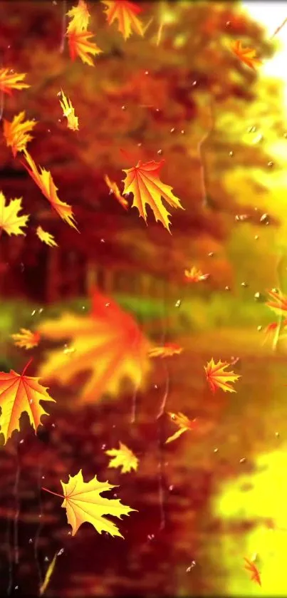 Beautiful autumn leaves falling in a forest.