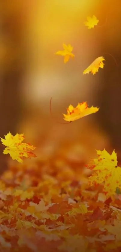 Vibrant autumn leaves falling in a golden forest setting.