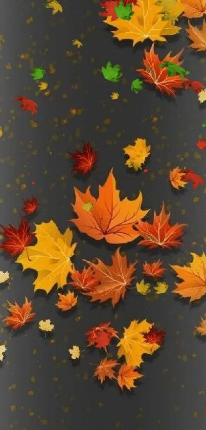 Vibrant autumn leaves on dark background wallpaper.