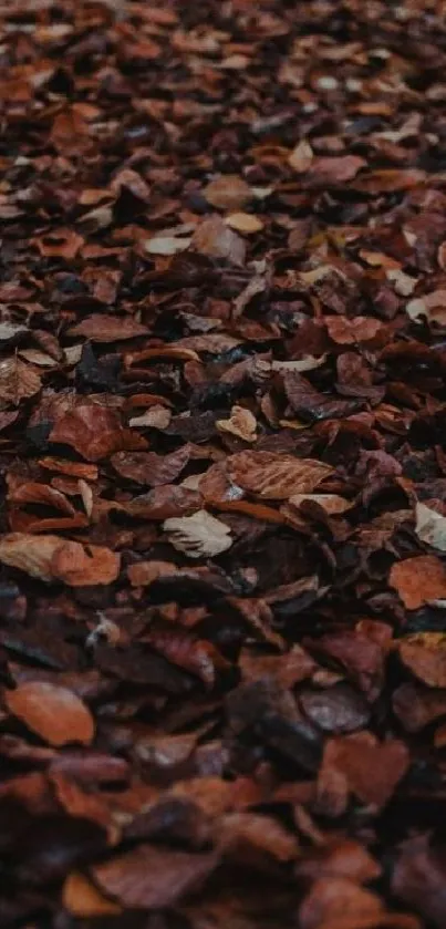 Mobile wallpaper with dense brown autumn leaves.