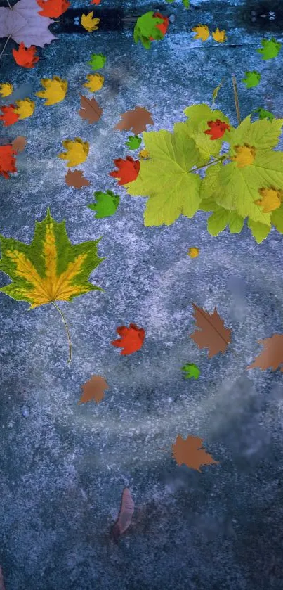 Colorful autumn leaves on a textured blue surface.