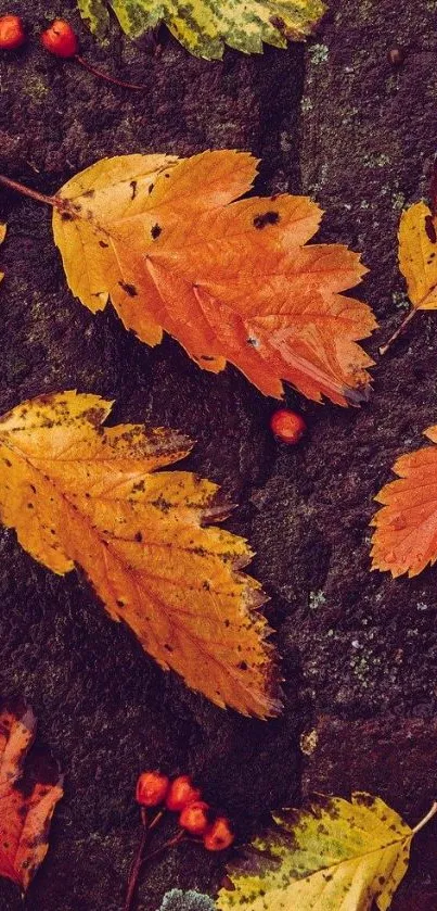 Vibrant autumn leaves on textured surface.