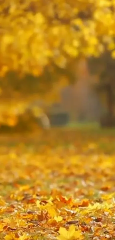 Golden autumn leaves scattered across a grassy landscape.