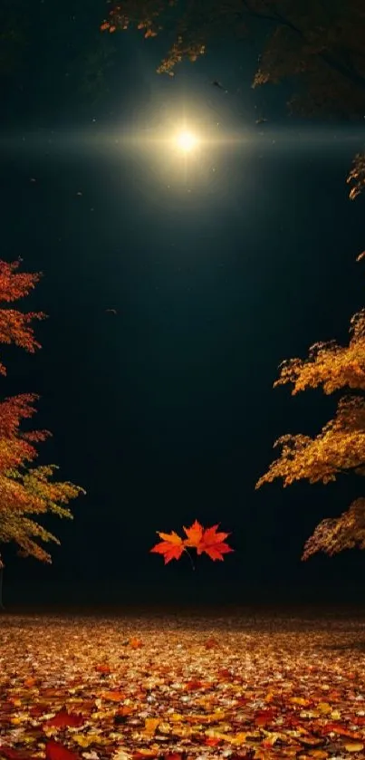 Nighttime scene with glowing moon and autumn leaves.