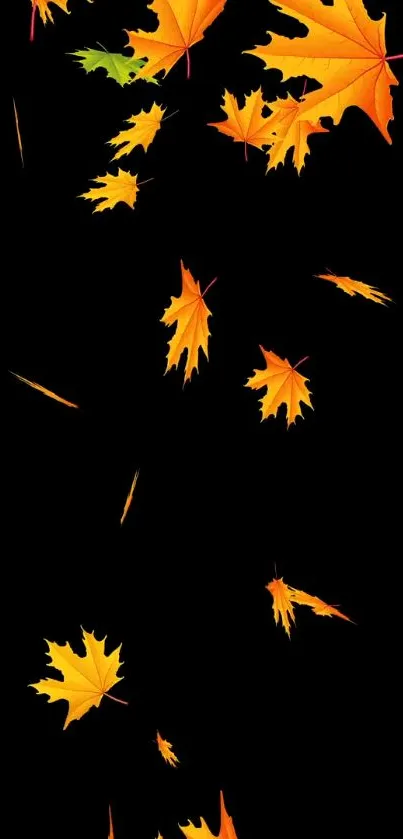 Black wallpaper with falling orange autumn leaves.