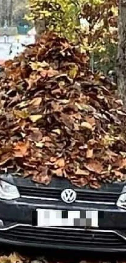 Car covered in vibrant autumn leaves, blending nature and urban art.