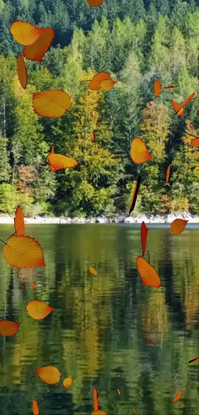 Autumn leaves falling over serene forest lake