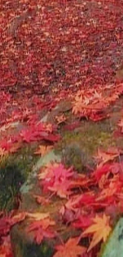 Mobile wallpaper of autumn leaves on a forest path.