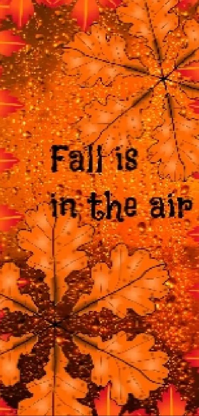 Autumn-themed wallpaper with orange sunset and fall leaves.