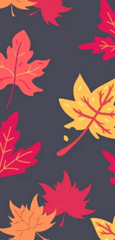 Colorful autumn leaves on dark gray background.