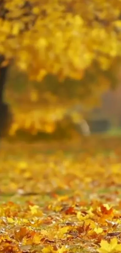 Serene autumn leaves on ground with trees in golden yellow background.