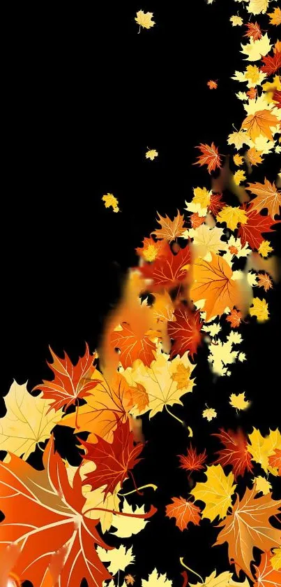 Elegant autumn leaves cascading down with vibrant colors on a black background.