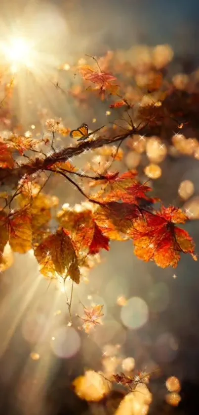 Golden autumn leaves illuminated by sunlight, creating a warm and serene atmosphere.