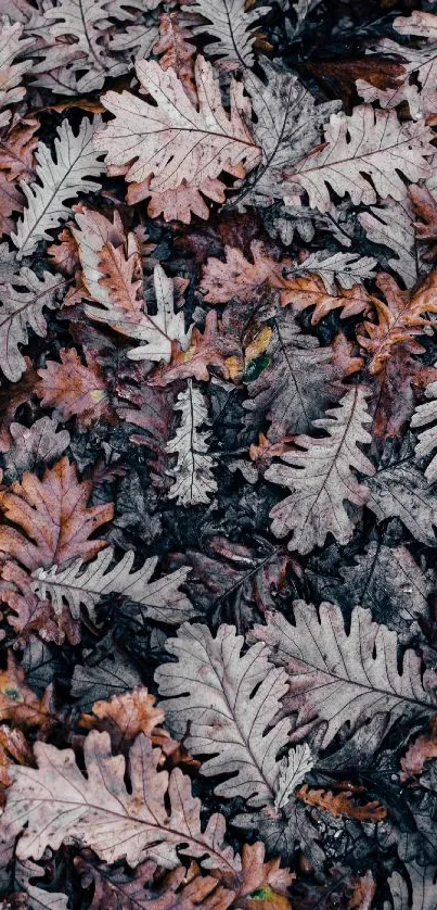 Colorful autumn leaves in vibrant brown shades cover the screen.