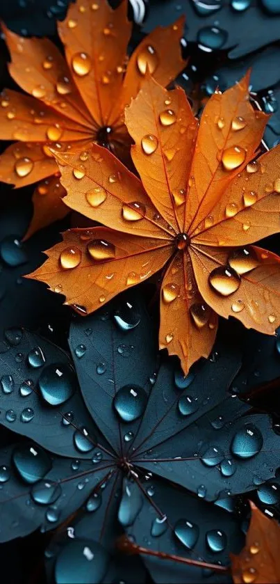 Mobile wallpaper with autumn leaves and water droplets on a dark background.