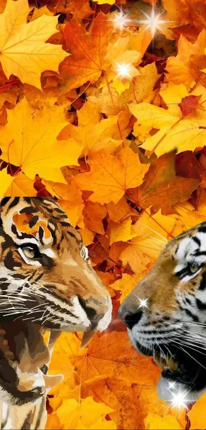 Tigers in vibrant autumn leaves wallpaper with bright orange hues.