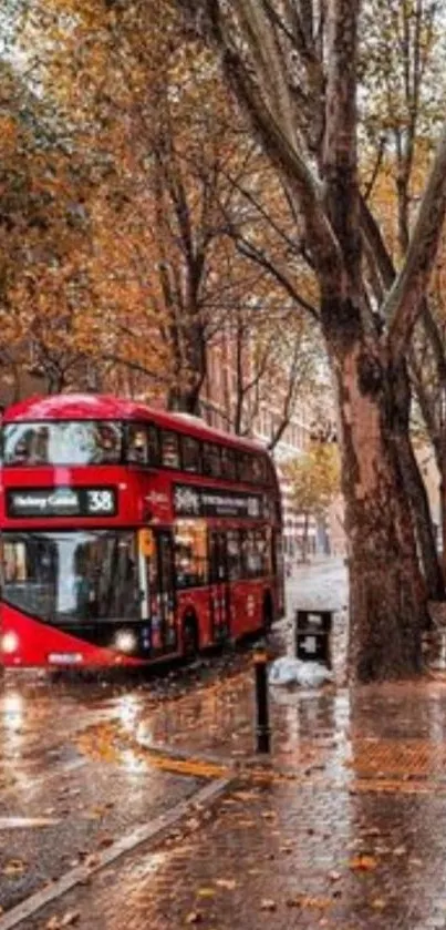 Red bus on a rainy autumn day in London street.