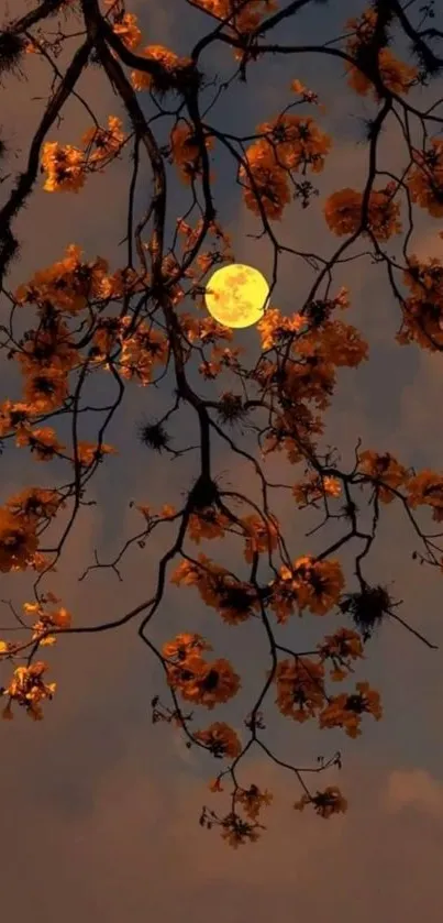 Moonlit branches with autumn foliage creating a serene night scene.