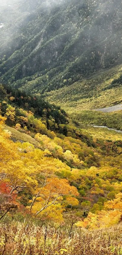 Misty mountain valley with autumn colors.