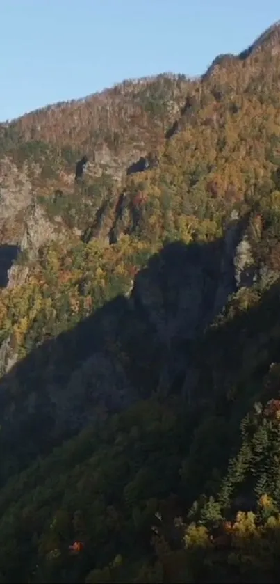 Vibrant autumn mountain landscape with foliage and cliffs.