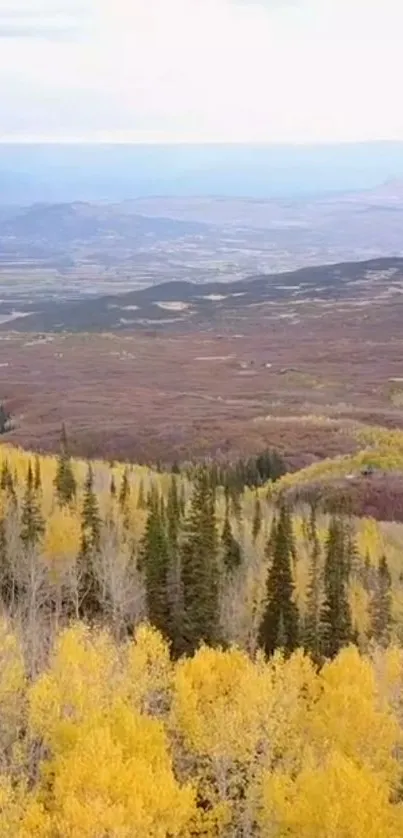 Autumn mountainscape with yellow foliage and distant landscape view.