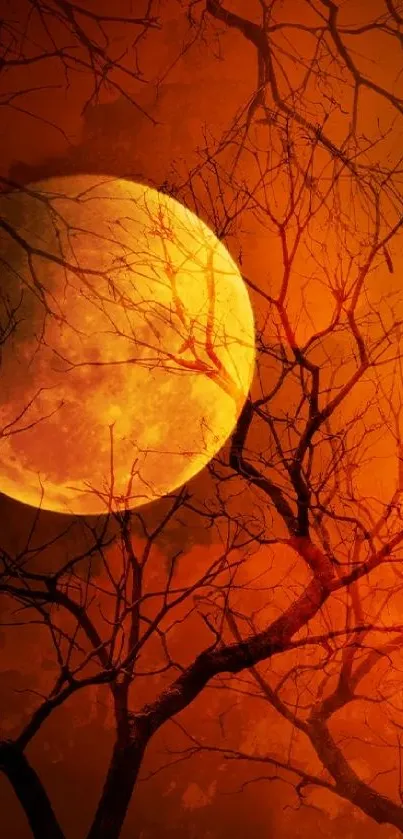 Moonlit autumn night wallpaper with trees and an orange glow.