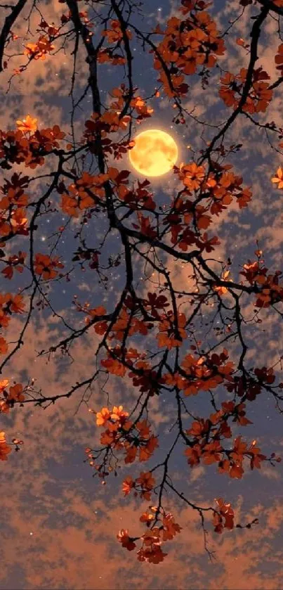 Moonlit branches with autumn leaves under a night sky.