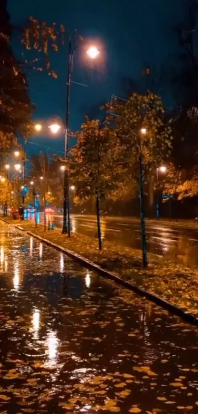 Autumn night street with wet leaves reflecting light.